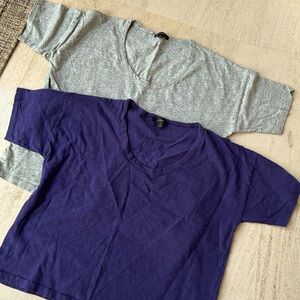 2 Jcrew oversized tees